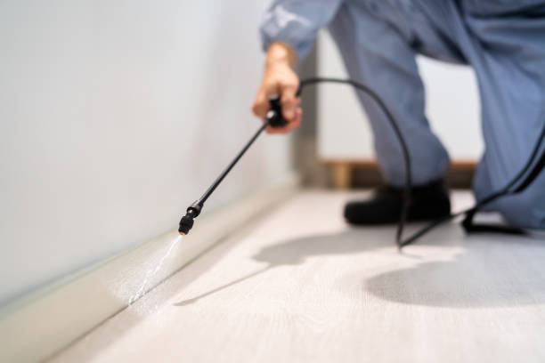 Certified termite inspector examining foundation in Georgetown